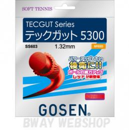 GOSEN　TECGUT Series　テックガット 5300