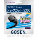 GOSEN　TECGUT Series　テックガット 5300