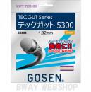 GOSEN　TECGUT Series　テックガット 5300