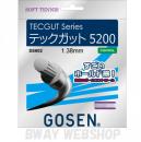 GOSEN　TECGUT Series　テックガット 5200