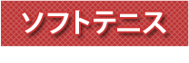 ソフトテニス商品の選び方