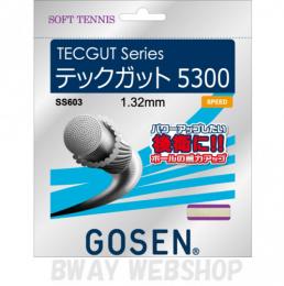 GOSEN　TECGUT Series　テックガット 5300